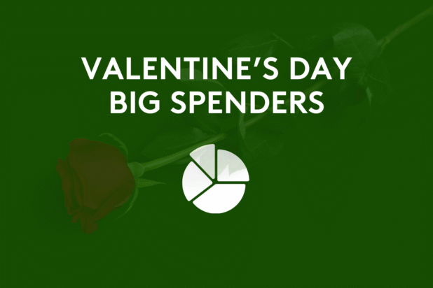 Photo of a single red rose